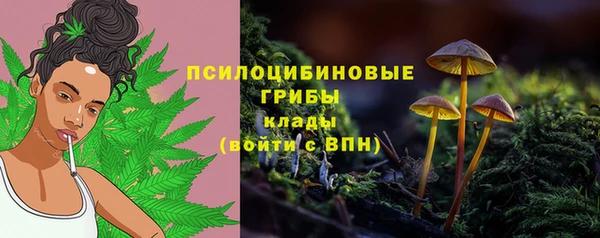 трава Абдулино
