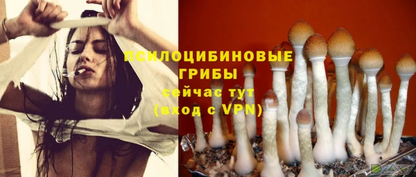 стаф Покров